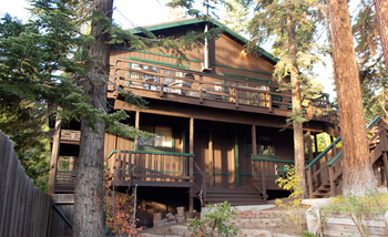 back yard
